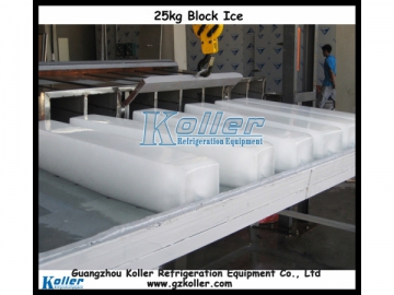 Máquina fabricadora de hielo en bloques